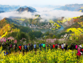 黄山门票免费开放试行