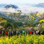 黄山门票免费开放试行