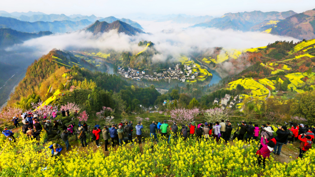 黄山门票免费开放试行  第1张